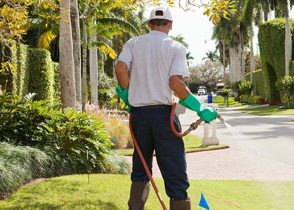 About Calistoga CA Pest Control